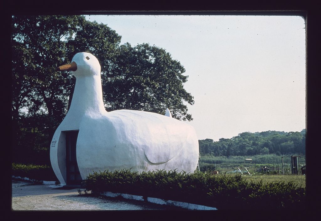 Fotó: John Margolies: Long Island-i kacsa, Long Island, New York, 1976