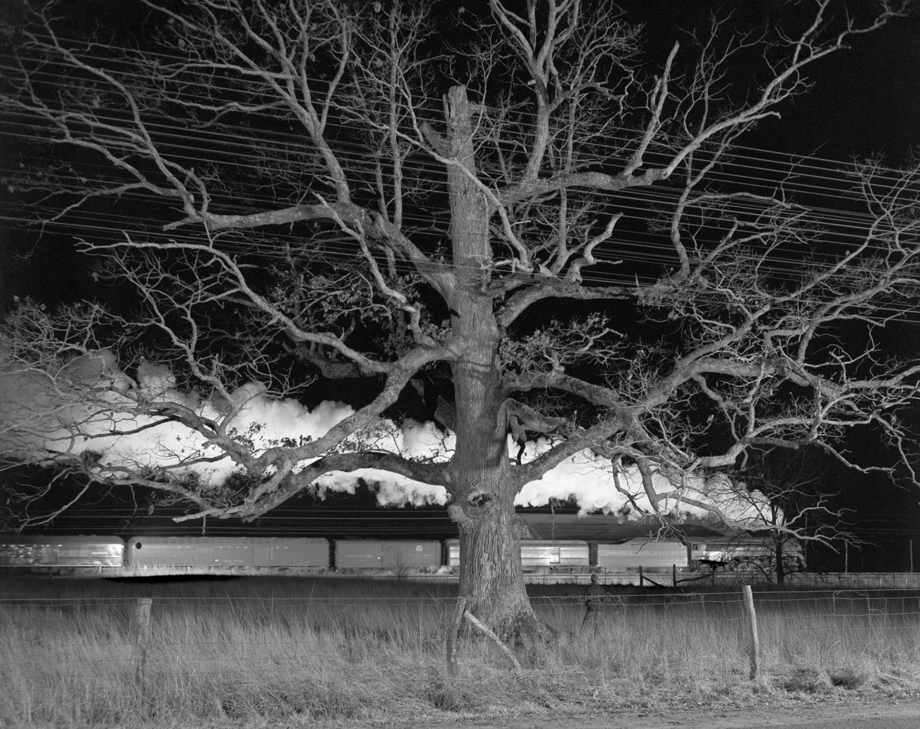 Fotó: O. Winston Link: “Giant Oak,” Max Meadows, Va., Dec. 30, 1957 © O. Winston Link / O. Winston Link Museum, Roanoke, Virginia