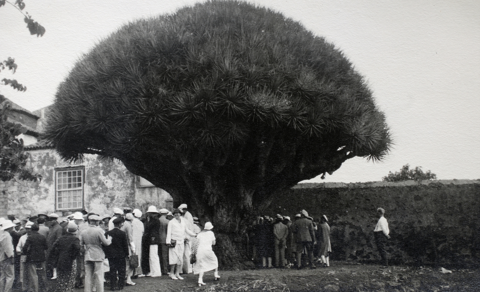 Fotó: Kieselbach Gyula: 1933, Fortepan