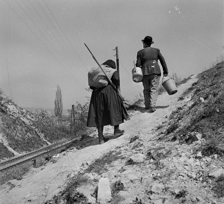 Fotó: Kotnyek Antal: Öskü, domboldal a Kerek templommal szemben, 1957 © Fortepan