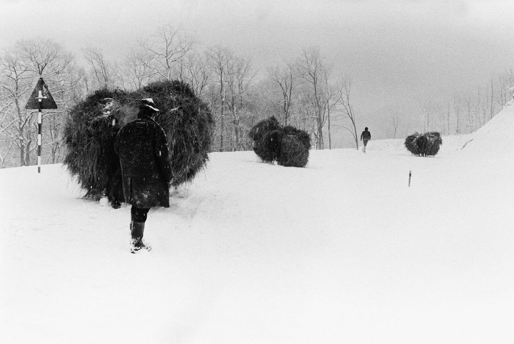 Fotó: Lazukics Anna: Hófúvásban, Tarcal, 1974