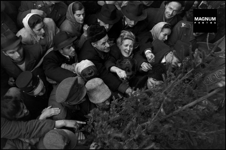 Fotó: Werner Bischof: Budapest, Harc a karácsonyfákért, 1947 © Werner Bischof/Magnum Photos