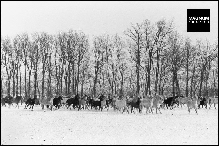 Fotó: Henri Cartier-Bresson: Magyarország, 1964 © Henri Cartier-Bresson//Magnum Photos