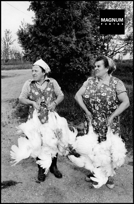 Fotó: Leonard Freed: TSZ Zalaegerszeg mellett, 1985 © Leonard Freed/Magnum Photos