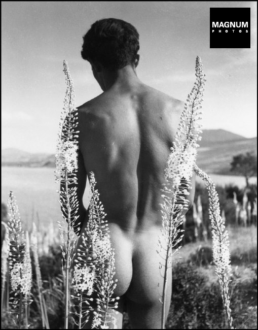 Fotó: Herbert List: Arab fiú korbácsliliomok között, Hammamet, Tunézia, 1935 © Herbert List/Magnum Photos