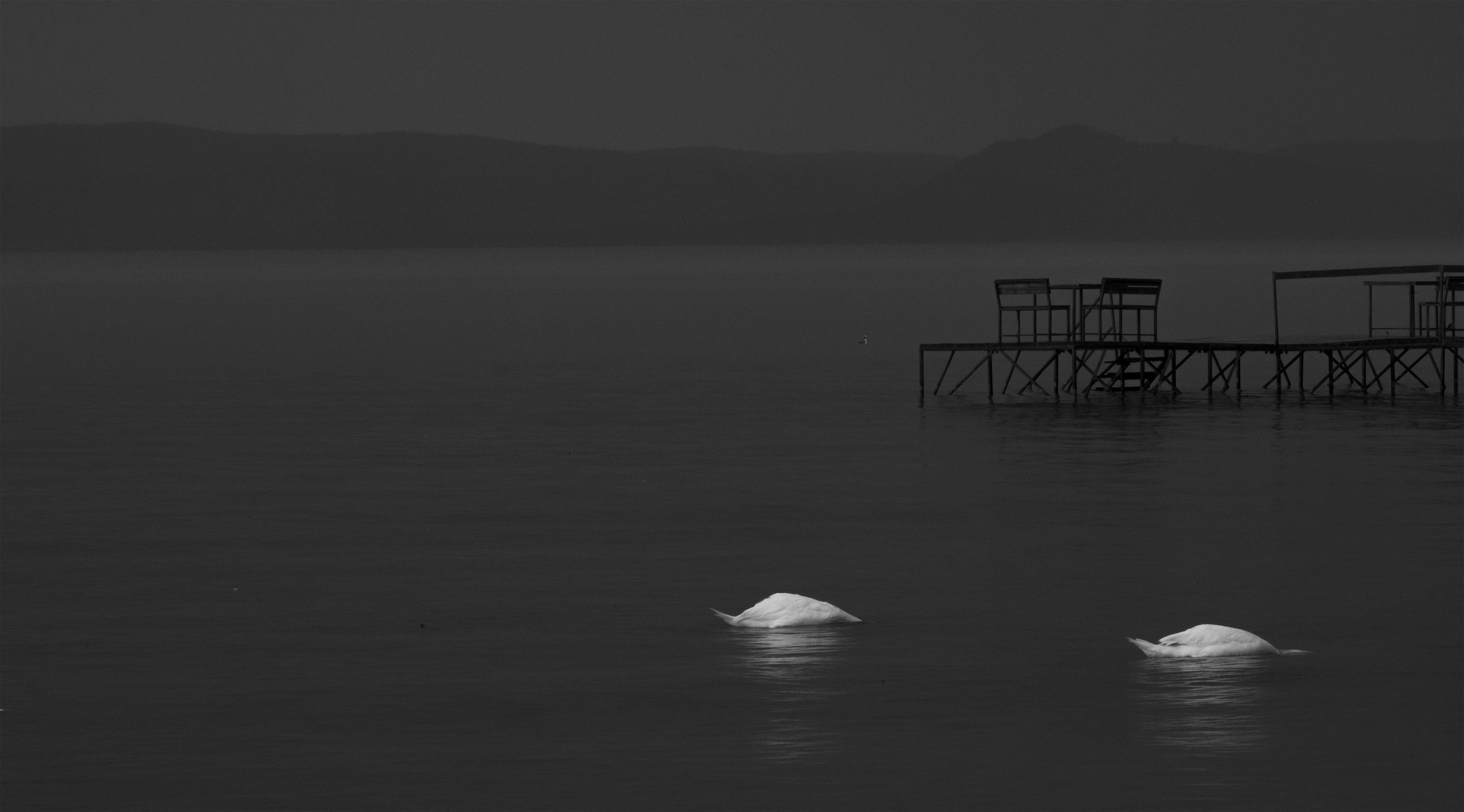 Fotó: Fuchs Lehel: Képek folyamatos fényben, Balatonszárszó, 2019