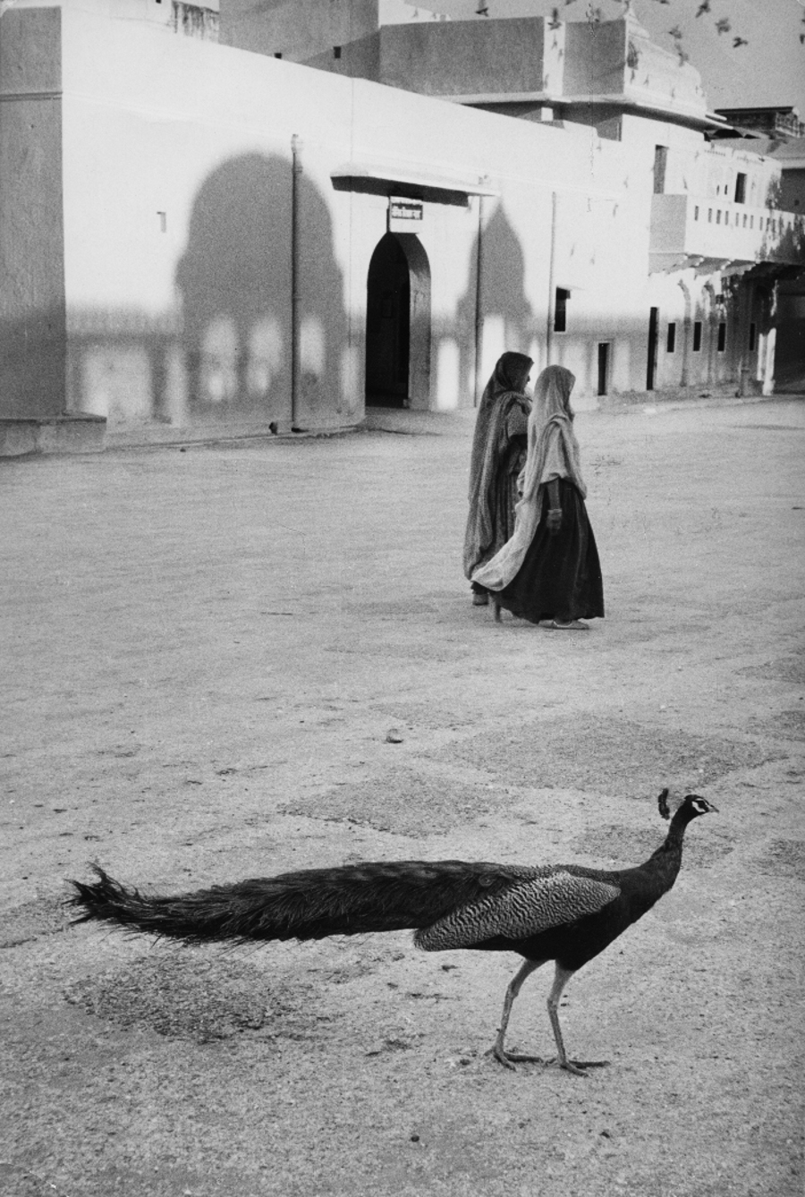 Dzsaipur, India, 1956.jpg
