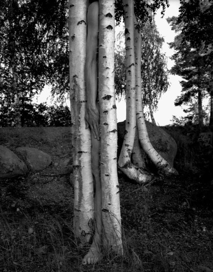 minkkinen008.jpg