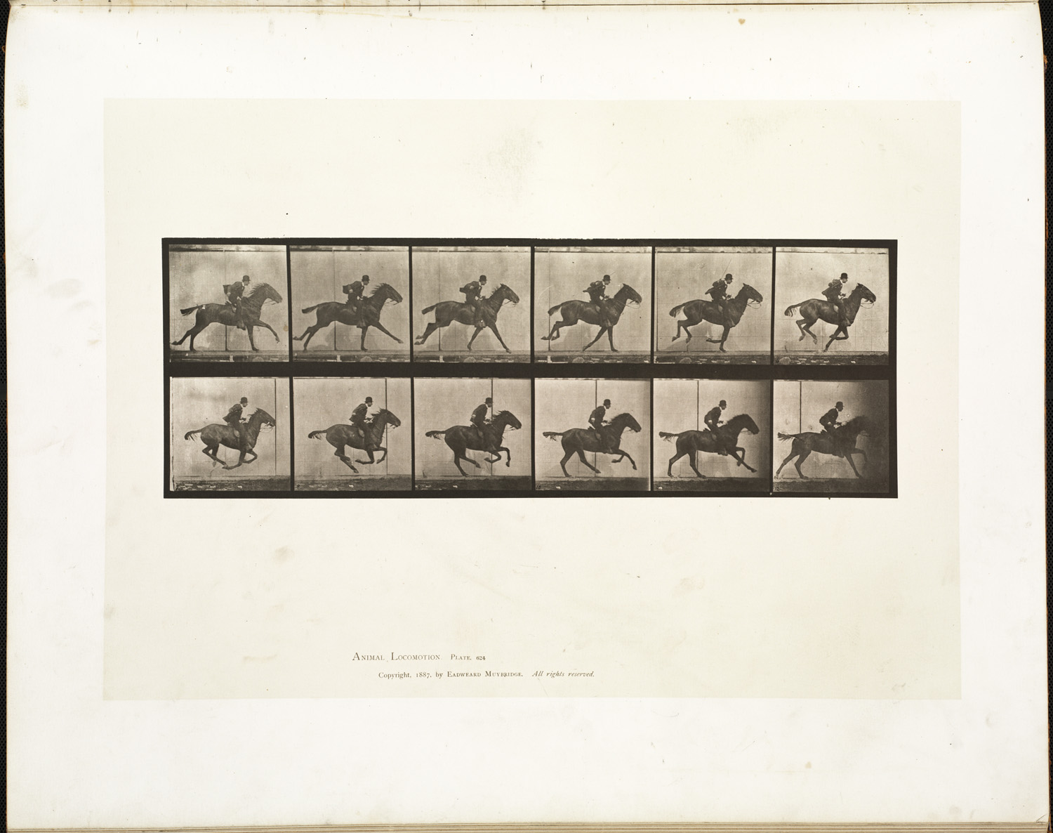 Animal_locomotion._Plate_624_(Boston_Public_Library).jpg