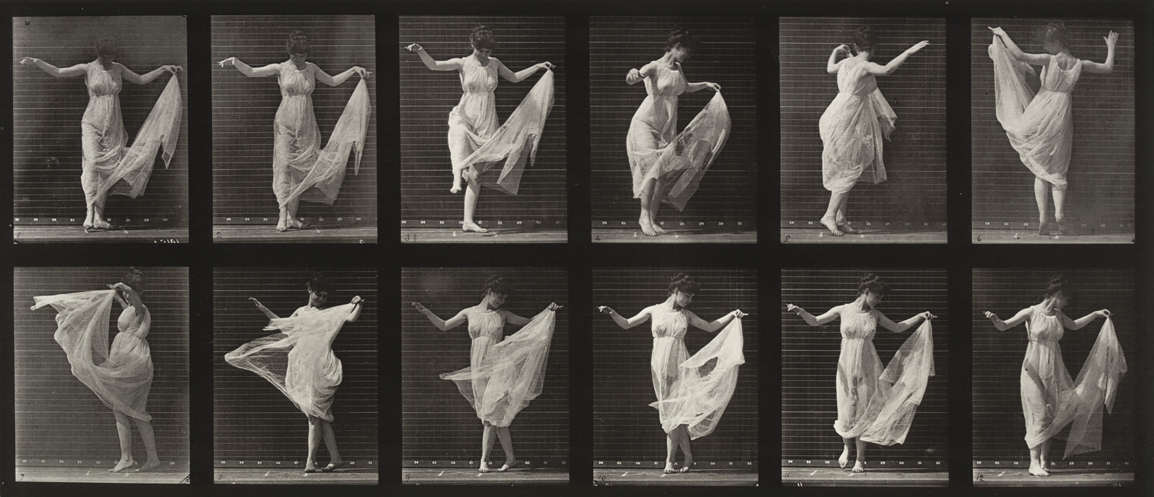 muybridge1.jpg