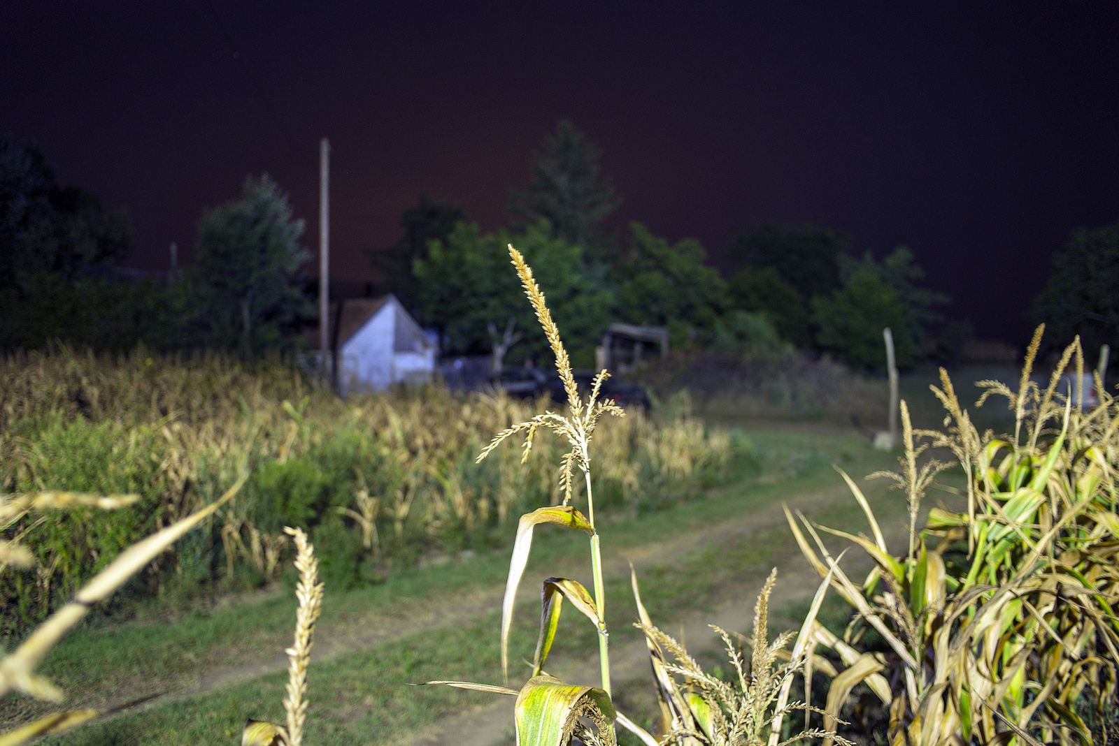 Fotó: Pilló Ákos: Részlet a Viharban sorozatból, digitális technika, 2015 © Pilló Ákos