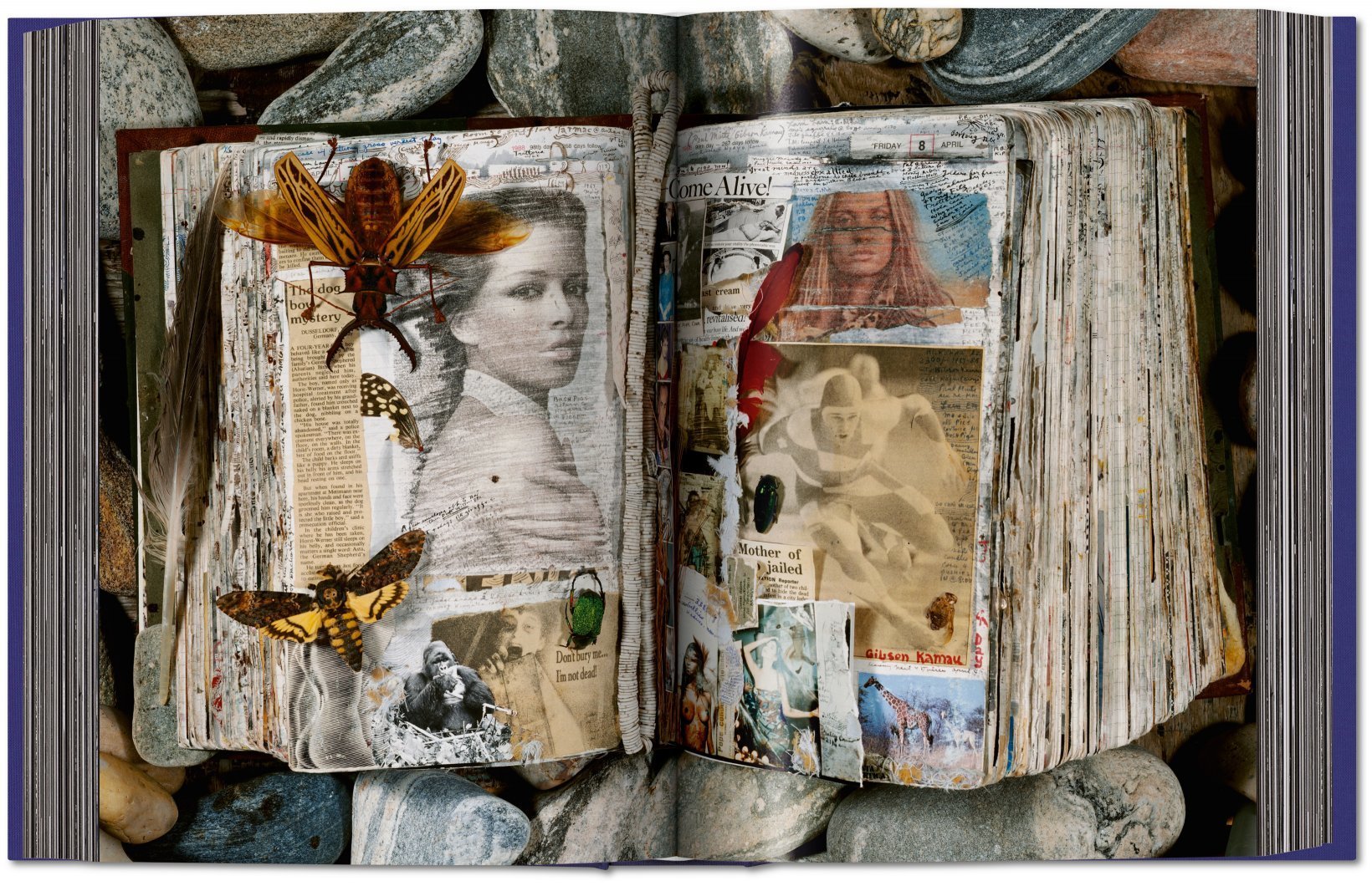 Fotó: Peter Beard<br />Taschen