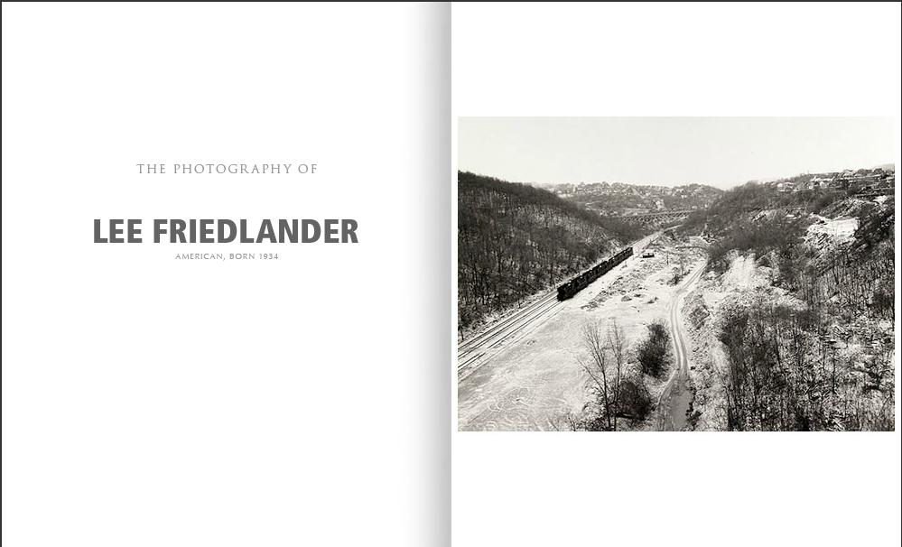 friedlander-2.jpg