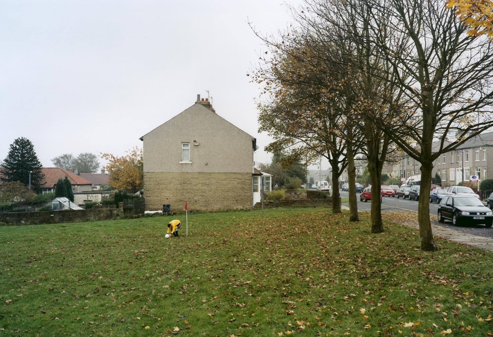 hvdm002.jpg
