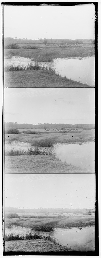 Fotó: Szergej Prokugyin-Gorszkij: Jasznaja Poljana, Oroszország, 1908. május © Prokugyin-Gorszkij gyűjtemény, Amerikai Kongresszusi Könyvtár