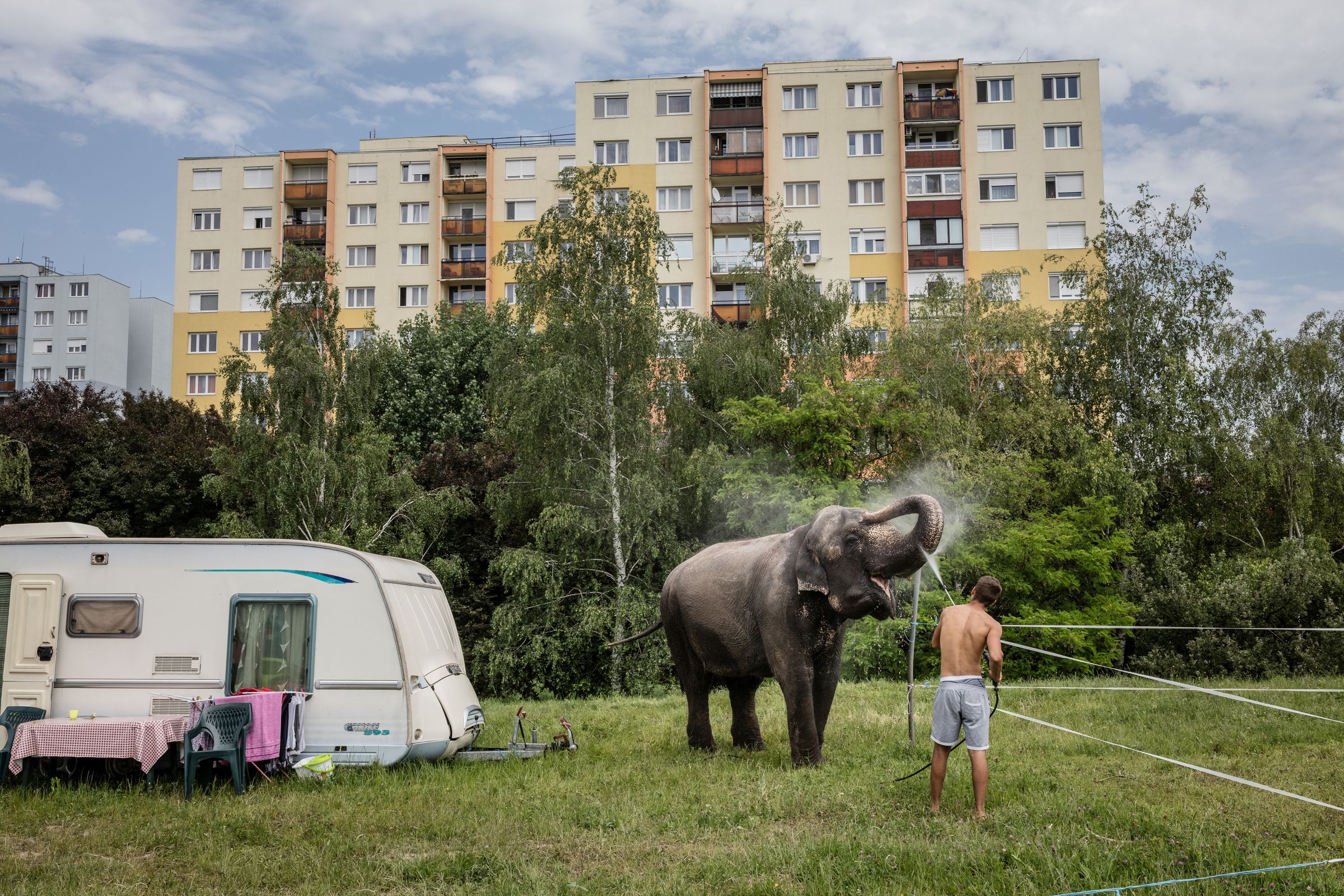 Művészet – műalkotás vagy művészeti tevékenység ábrázolása, fotóriporteri eszközökkel (egyedi) <br /><br />1. díj: Kállai Márton (Szabad Föld): Elefántfürdő<br />