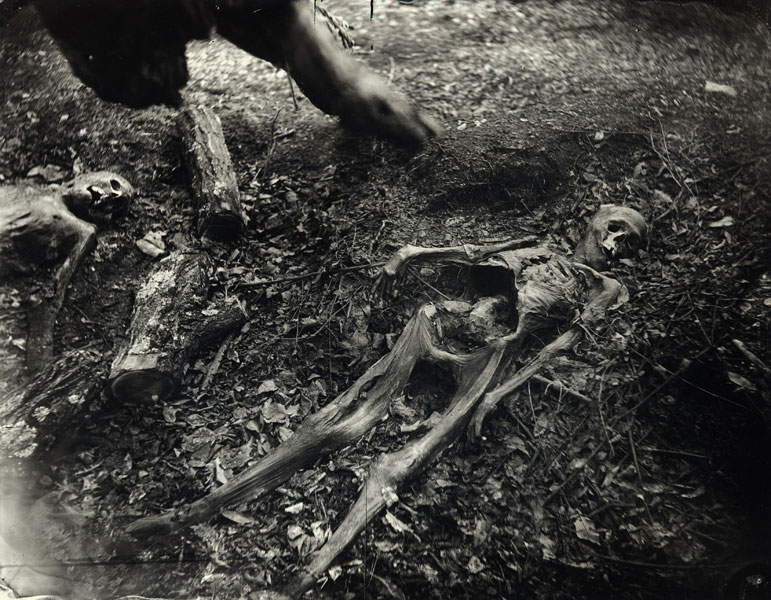 sallymannbodyfarm003.jpg