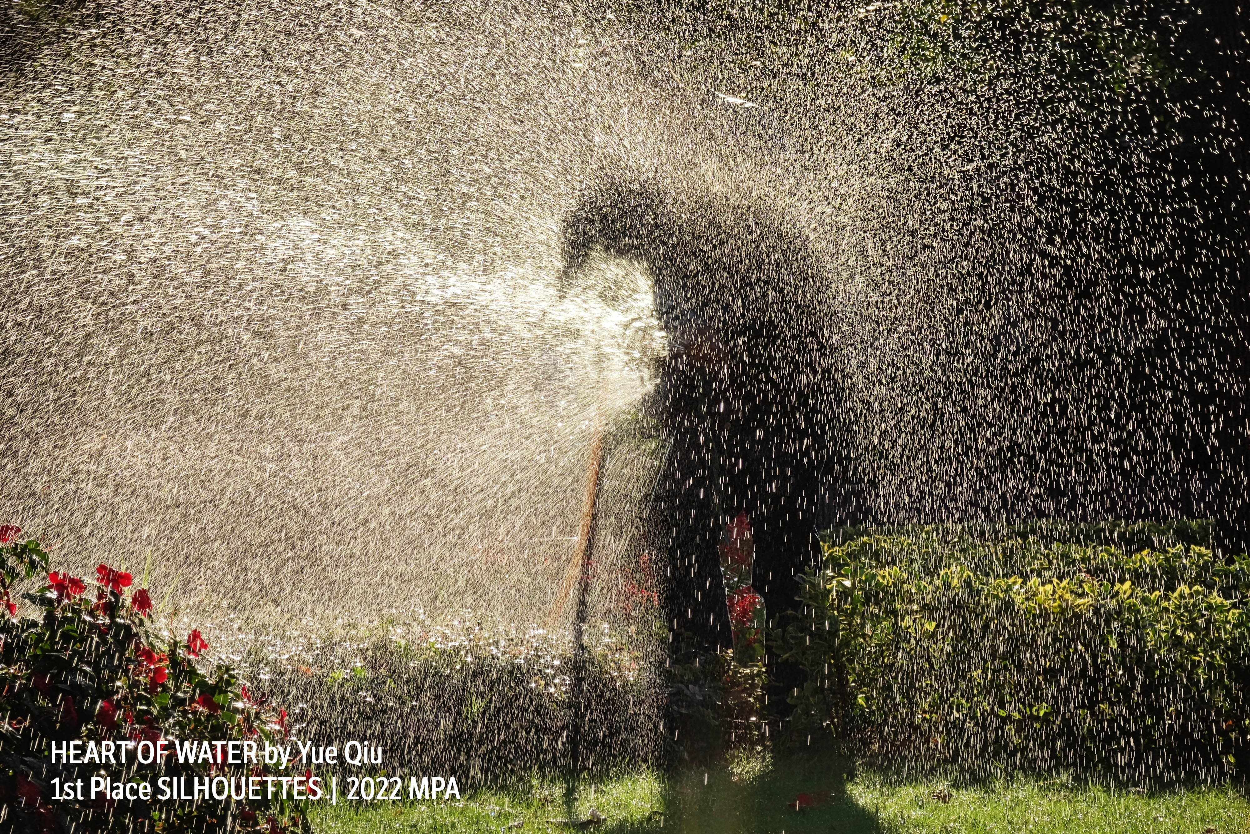 silhouettes_heart_of_water_by_yue_qiu_xiaomi_220312c.jpg