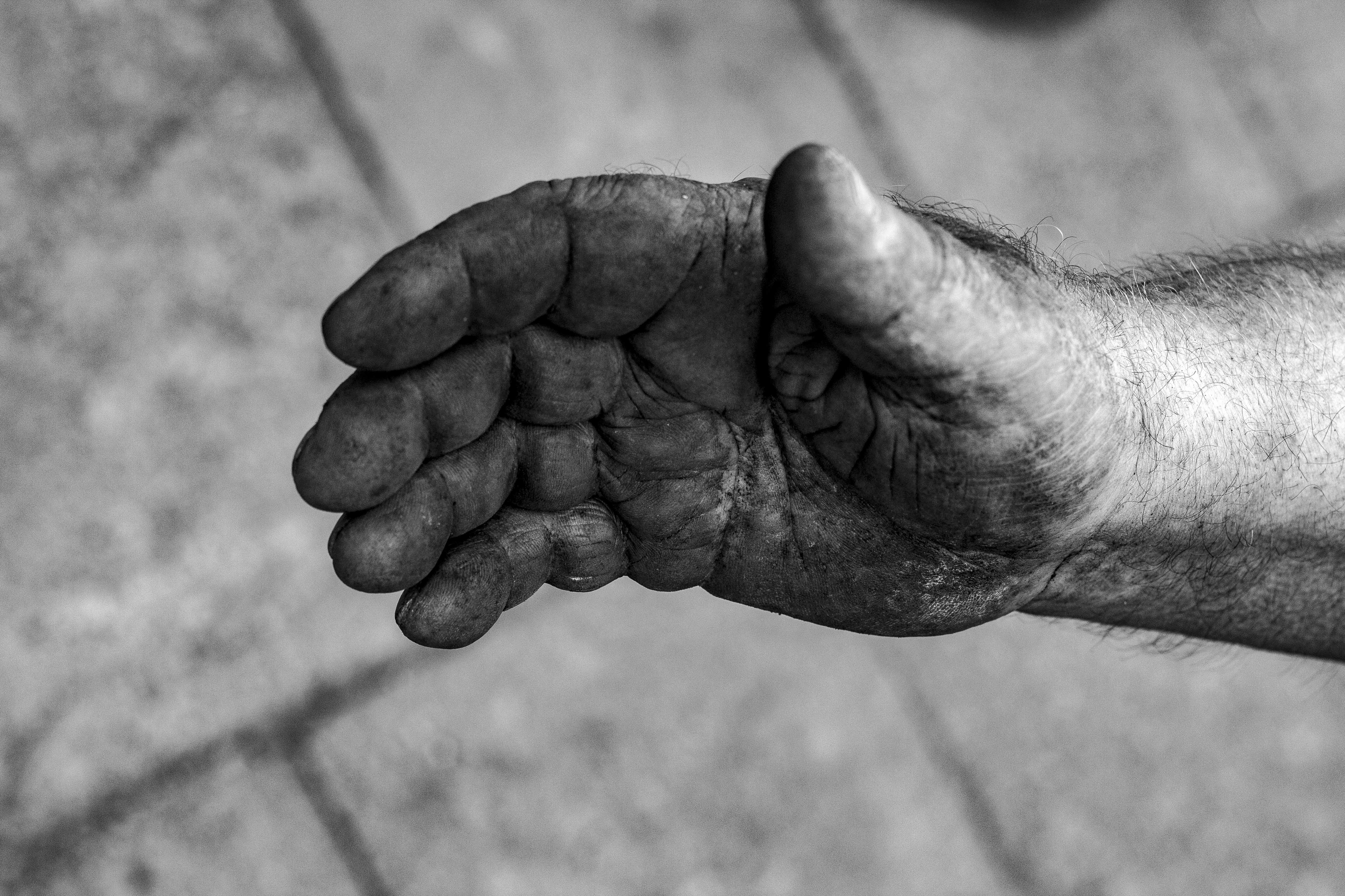 Fotó: One Thousand Polish Hands, 2018 © Peter Puklus