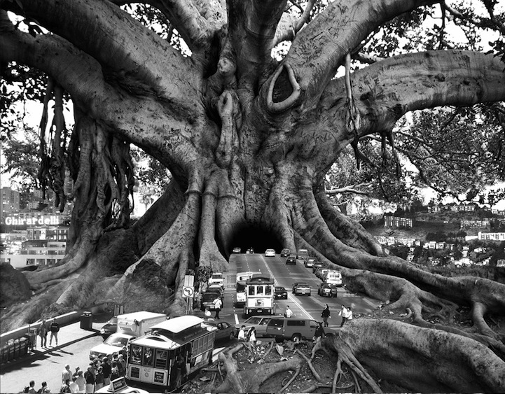 thomasbarbey011.jpeg