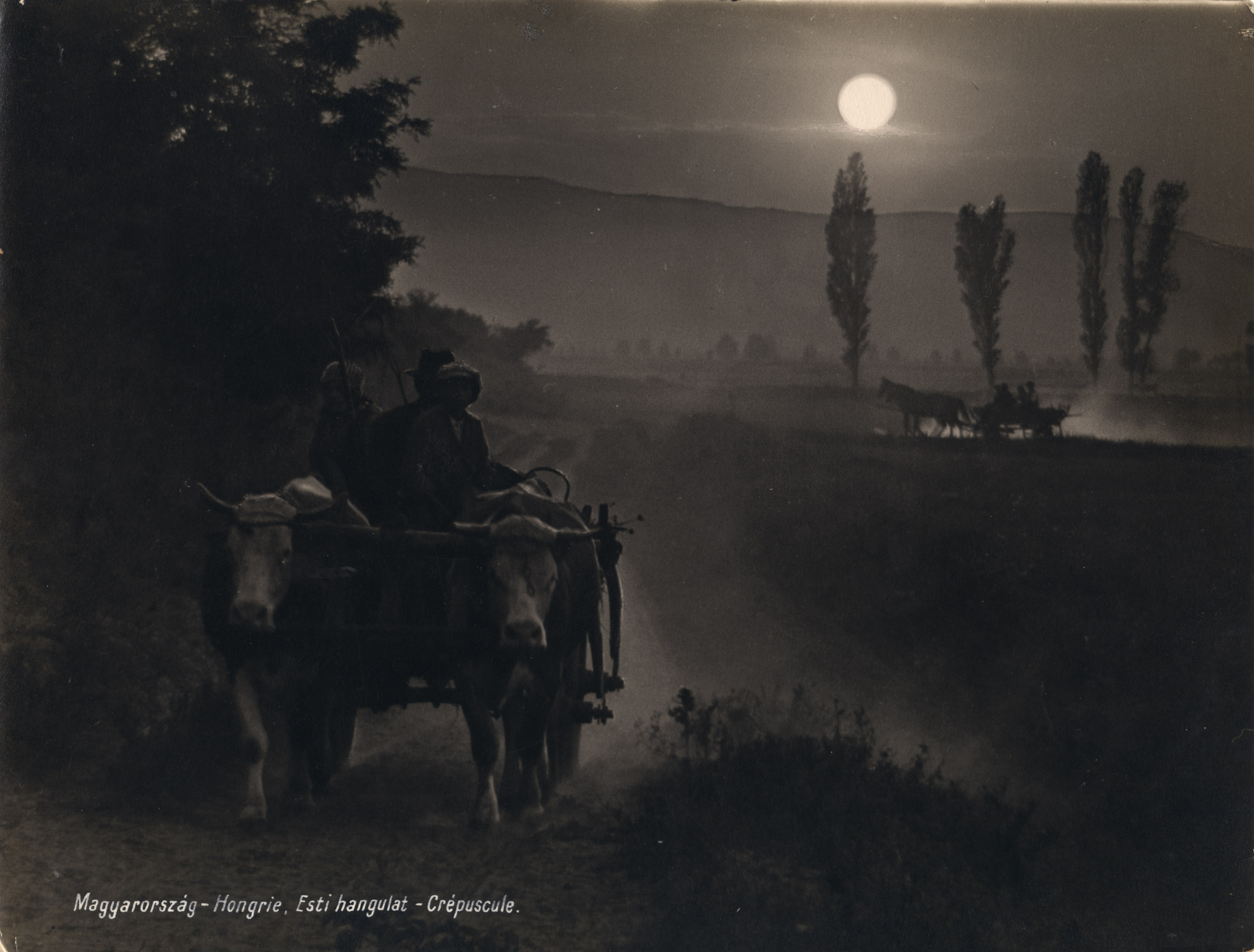Fotó: Dulovits Jenő: Esti hangulat (Naplemente, ökrösszekér közeledik a poros úton), 1930 © Magyar Fotográfiai Múzeum