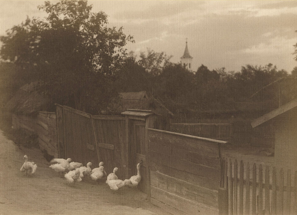 Fotó: Faix Jacques: Hazatérő libák, 1908 k. © Faix család tulajdona