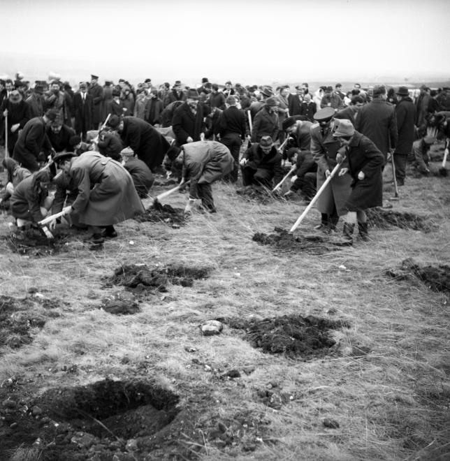 Fotó: Urbán Tamás: 1970. Magyarország, Érd a felvétel az országos fásítási hónap megnyitásakor a város határában készült © fortepan.hu