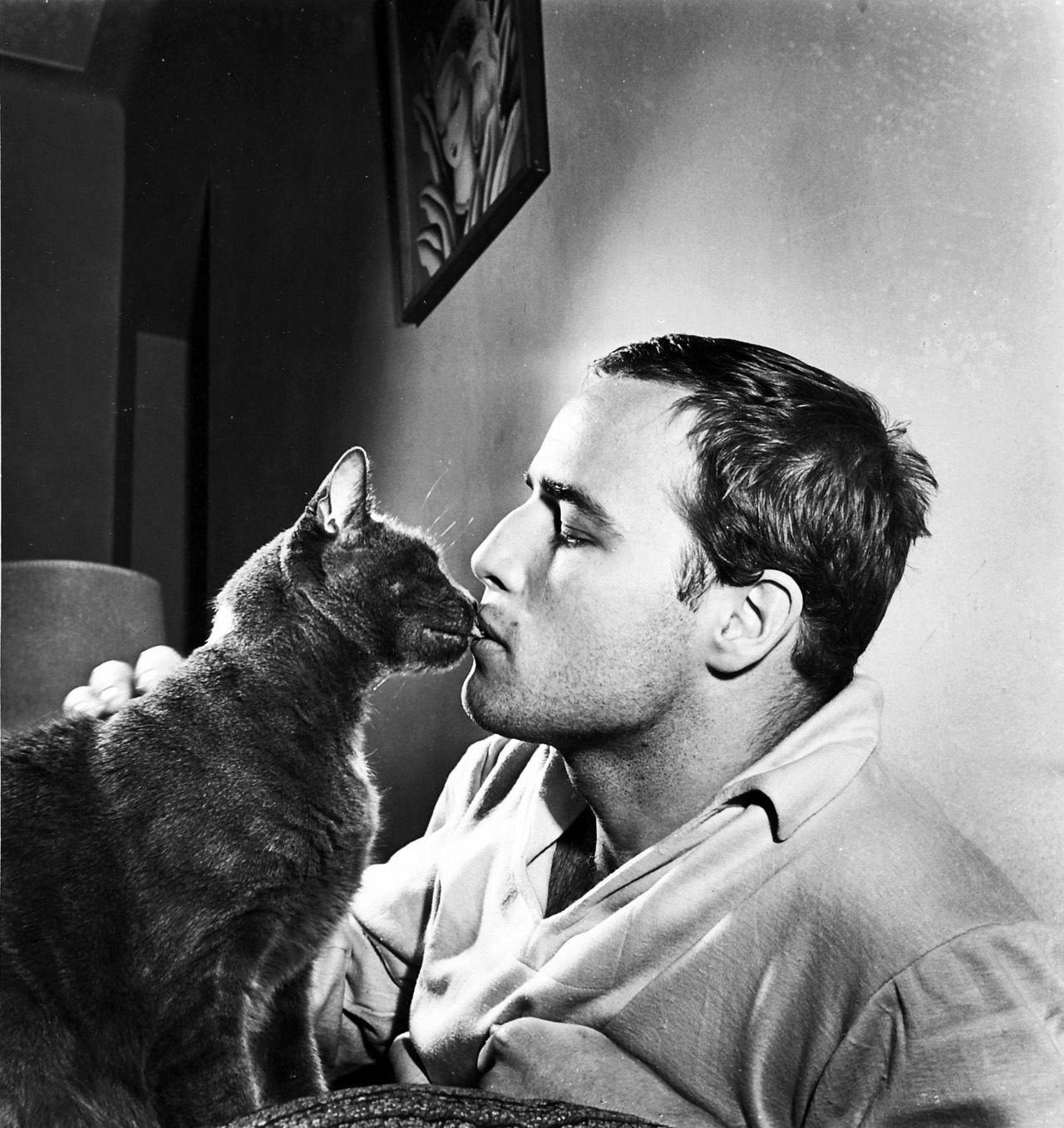 brando_cat_50s.jpg