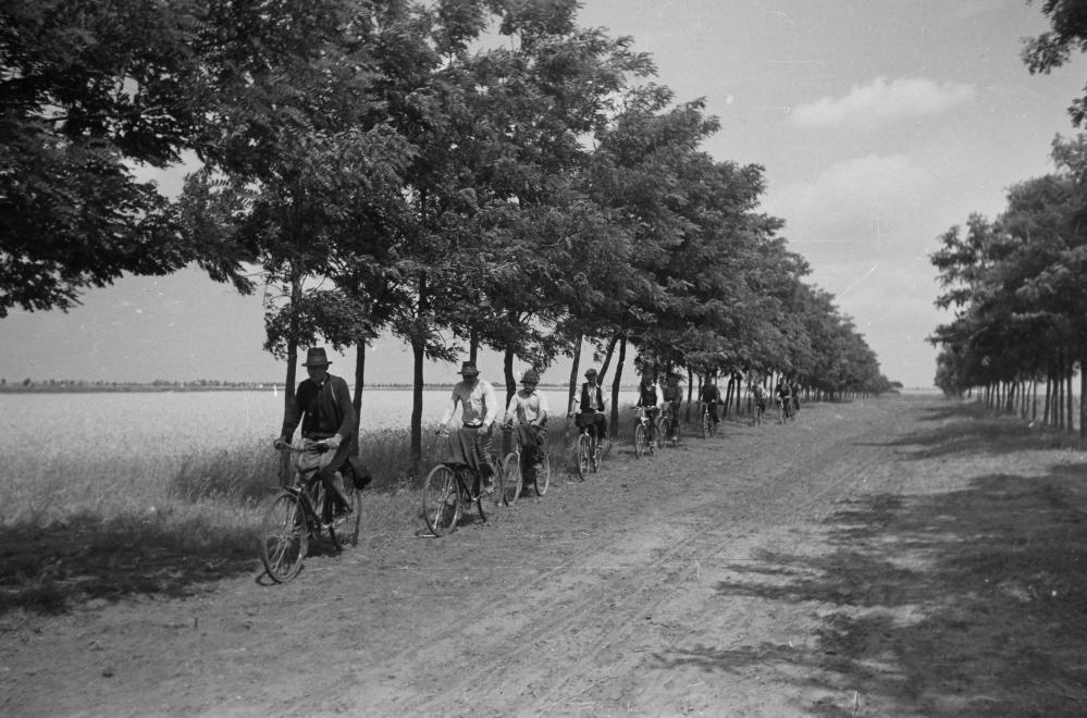 Fotó: Kunszentmiklós, kerékpárral indul a földekre a brigád. 1949 © fortepan.hu/Kovács Márton Ernő