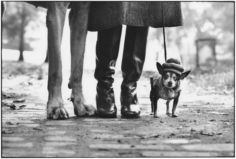 Fotó: Eliott Erwitt: Felix, Gladys and Rover, New York City, 1974 © Magnum Photos