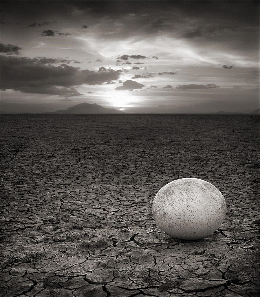 Nick Brandt.jpg