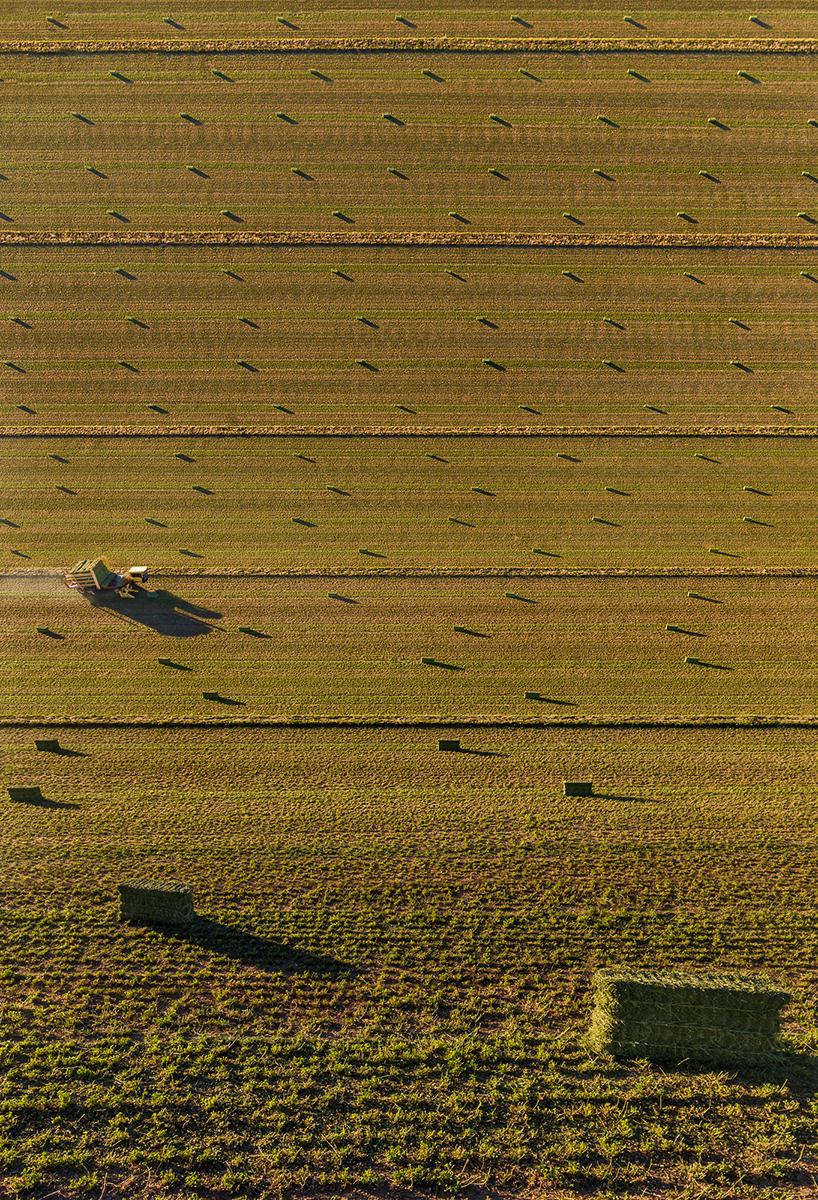 Fotó: Aydın Büyüktaş: Harvest Time, Részlet a Síkföld című sorozatból © Aydın Büyüktaş