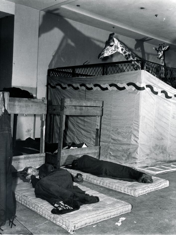 Fotó: Weegee: Alvóhely a cirkusz táborában, évszám nélkül © Courtesy Institute for Cultural Exchange, Germany 2018