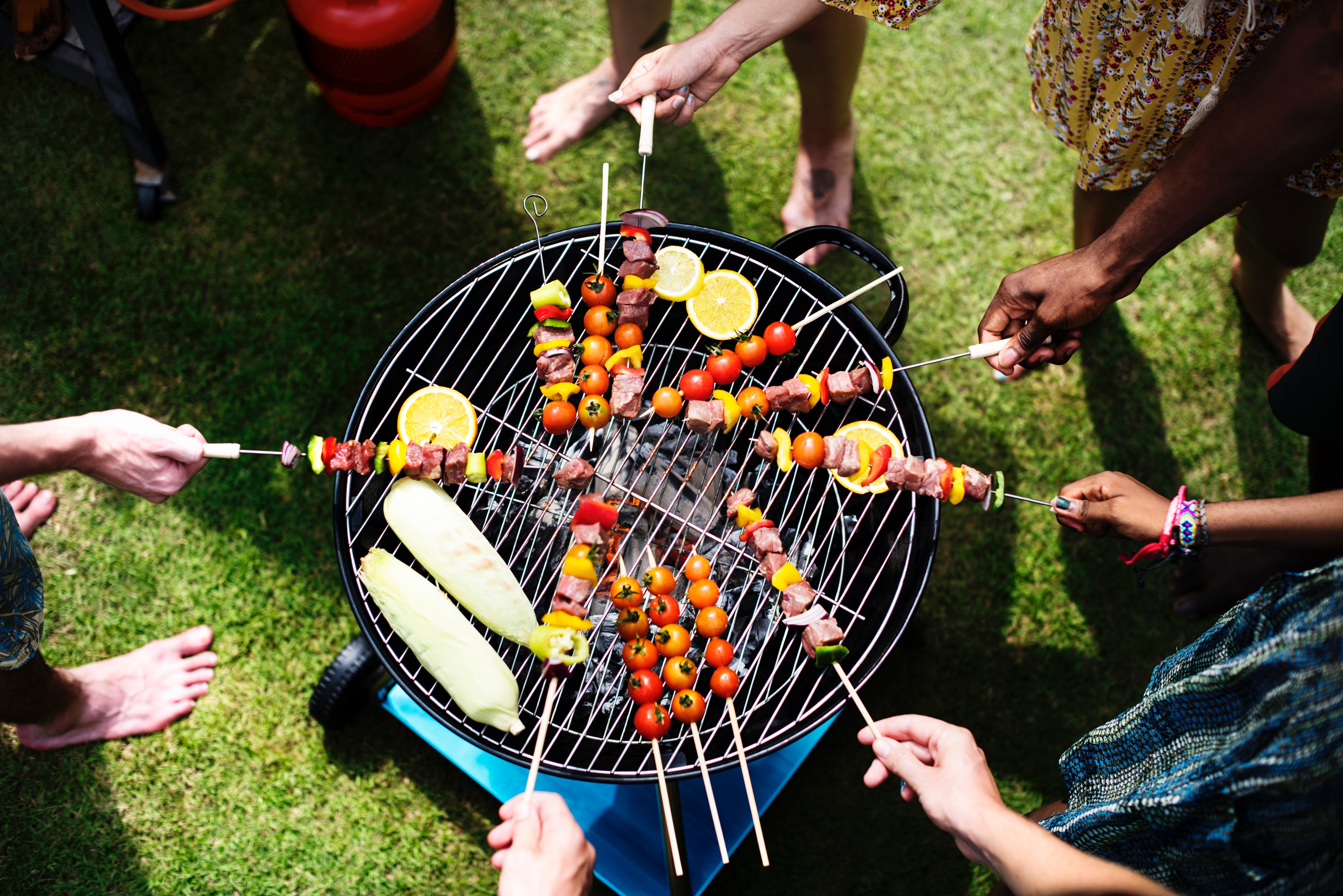 adults-aerial-barbecue-1260310.jpg