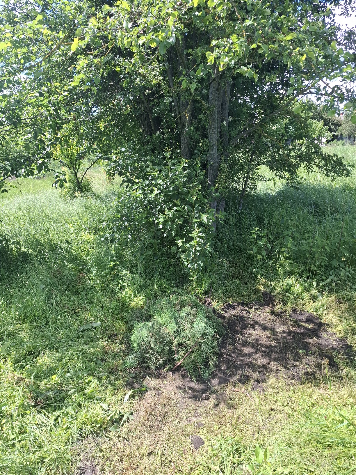 20250524_103926.jpg