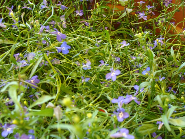 DSC05958.JPG