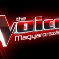 The Voice - 1. válogató...