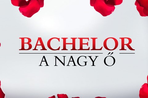 a_nagy_o_logo_2022_2.jpg