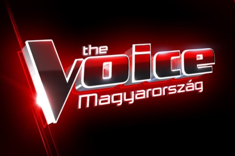the_voice_logo_2023.jpg