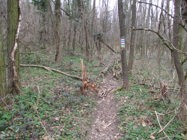DSCF2179.JPG