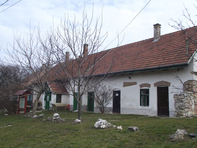 DSCF2346.JPG