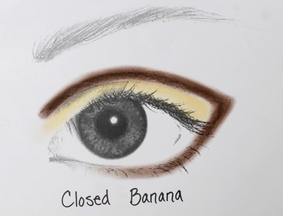 Closed-Banana-Photo-550x420.jpeg