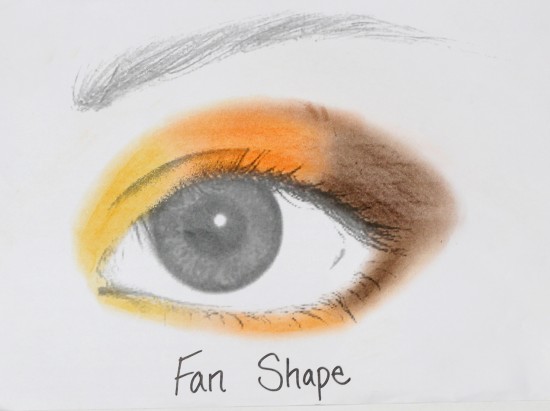 Fan-Shape-Photo-550x411.jpeg