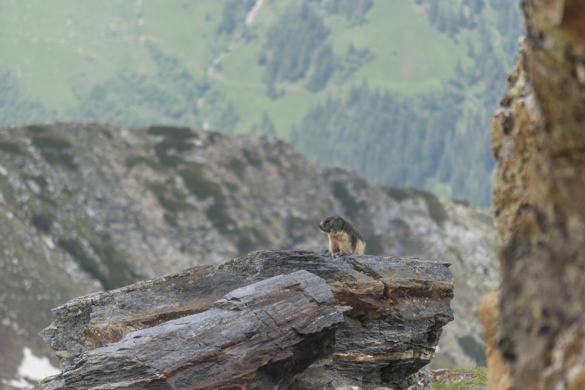 ihasz_ingrid_grossglockner4.jpg