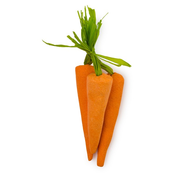 6496-Bunch-of-Carrots---web-version.jpg