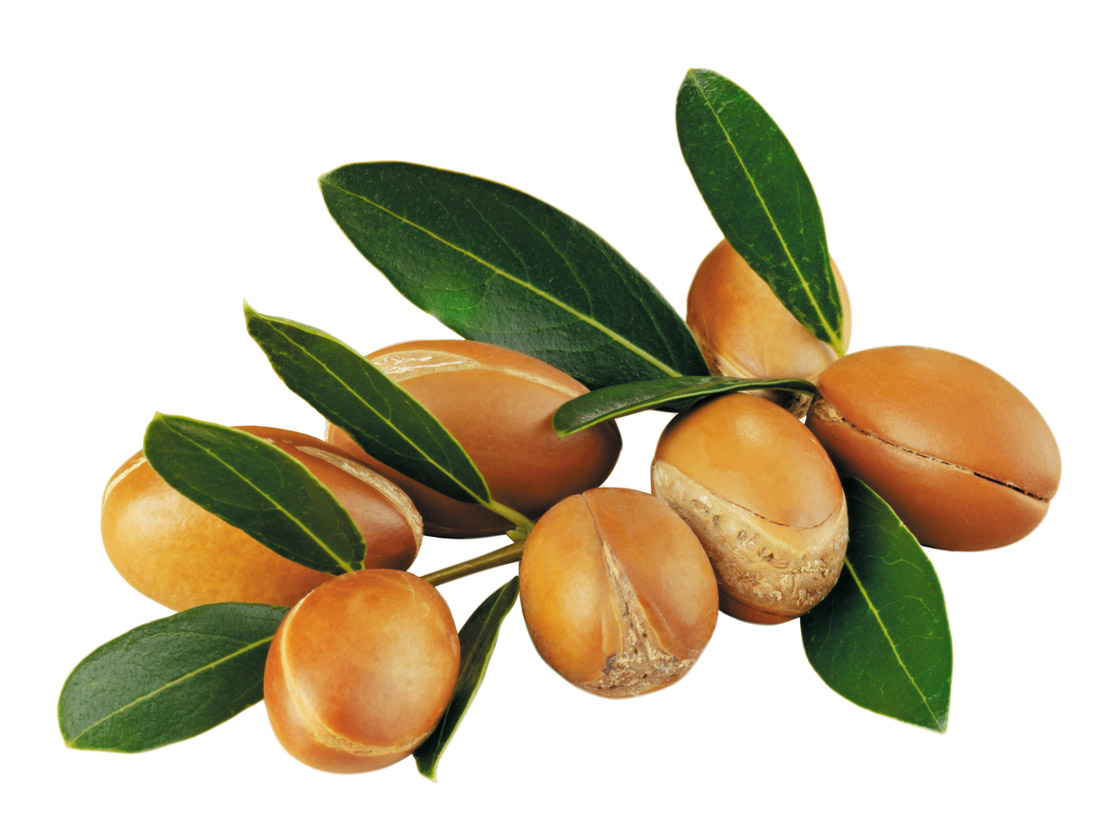 argan.jpg