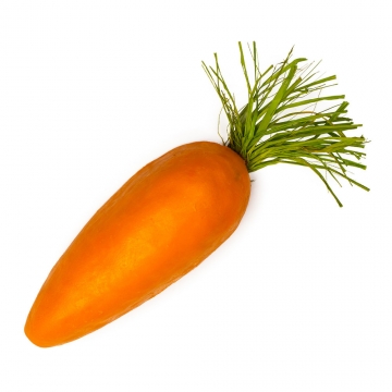 carrot-360x360.jpg