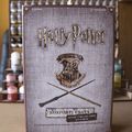 Harry Potter: Roxforti csata - Sötét varázslatok kivédése