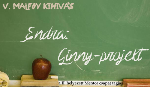 mentor_endra2.jpg