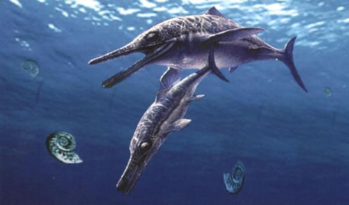 ichthyosauria.jpg